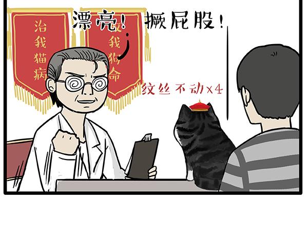 第78话 带宠物看病（上）4