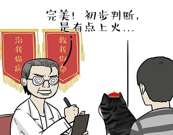 第78话 带宠物看病（上）5