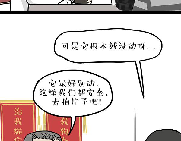 第78话 带宠物看病（上）6