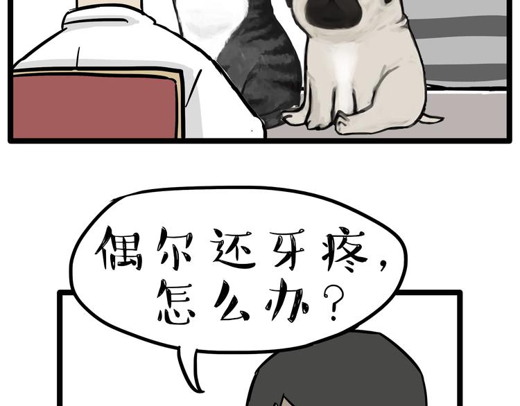 第79话 带宠物看病（下）10