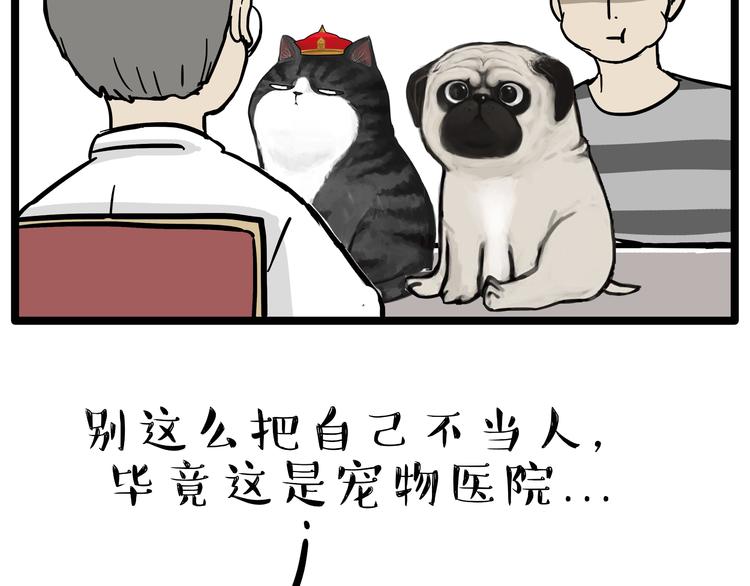 第79话 带宠物看病（下）12