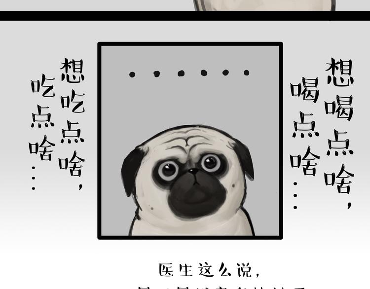 第79话 带宠物看病（下）18
