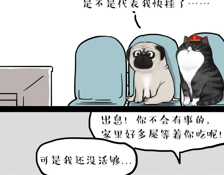 第79话 带宠物看病（下）19