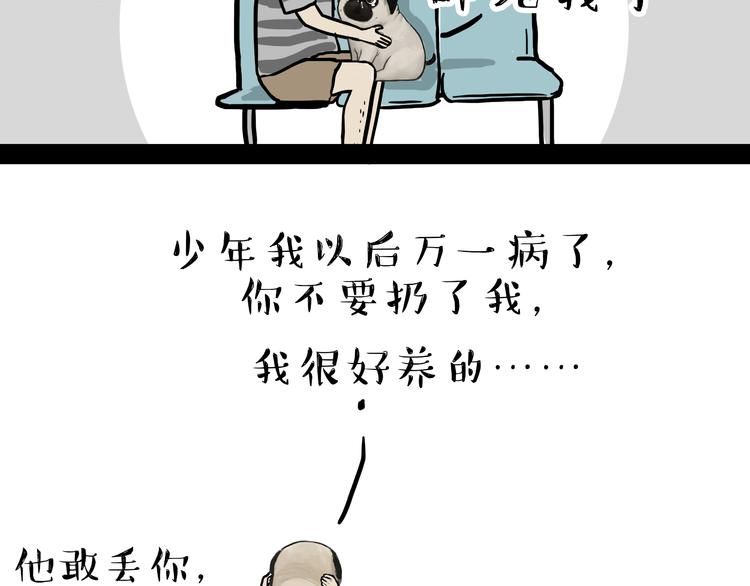 第79话 带宠物看病（下）27