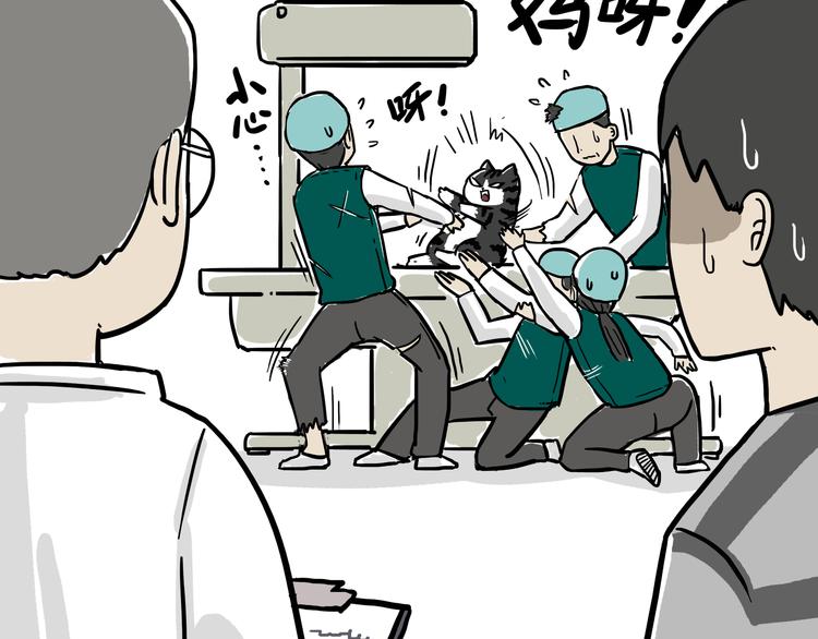第79话 带宠物看病（下）6