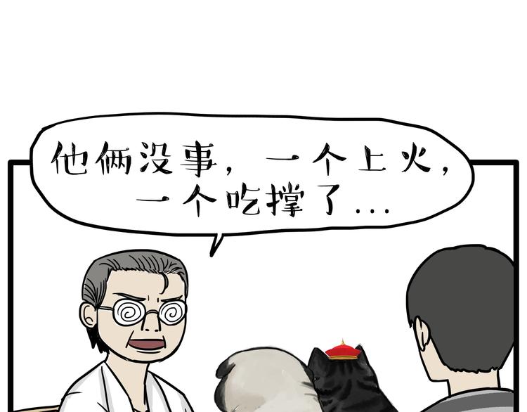 第79话 带宠物看病（下）8