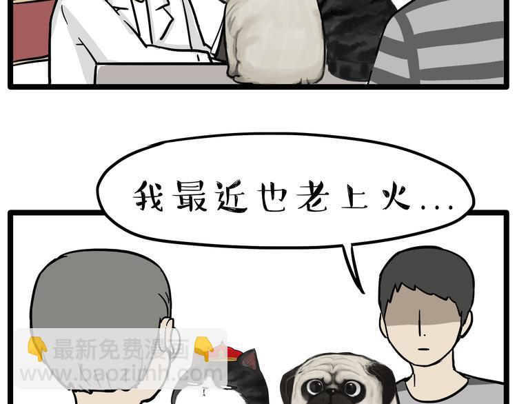 第79话 带宠物看病（下）9