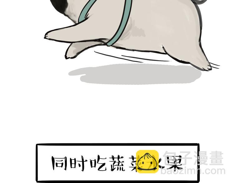 第81话 减肥之苦20