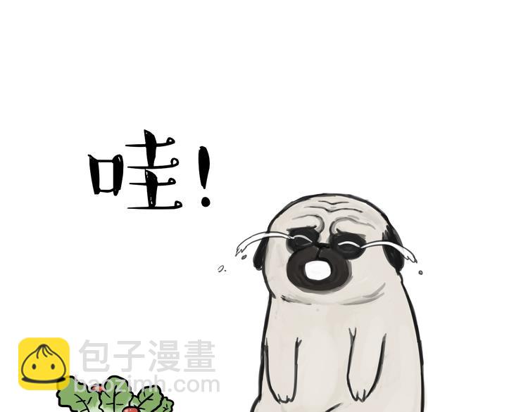 第81话 减肥之苦30