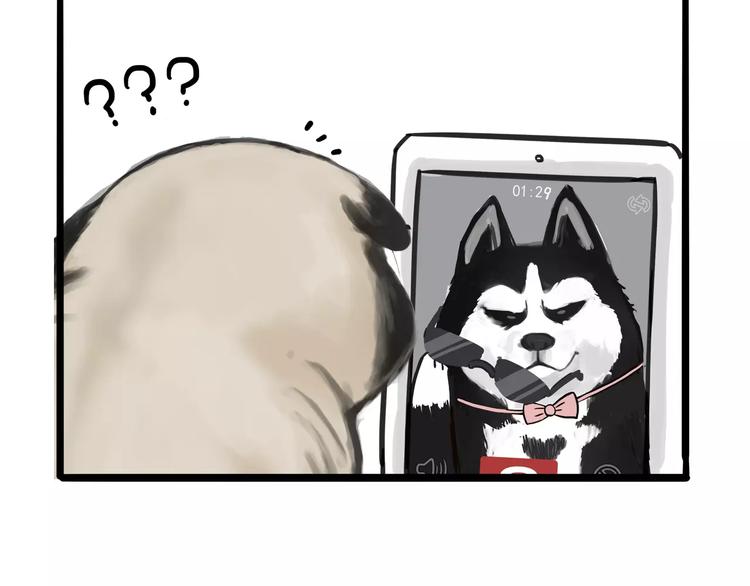 第83话 抓老鼠10