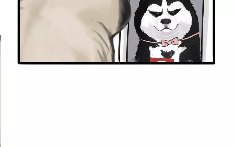 第83话 抓老鼠12