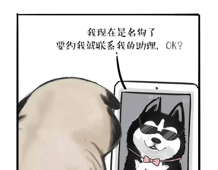 第83话 抓老鼠7