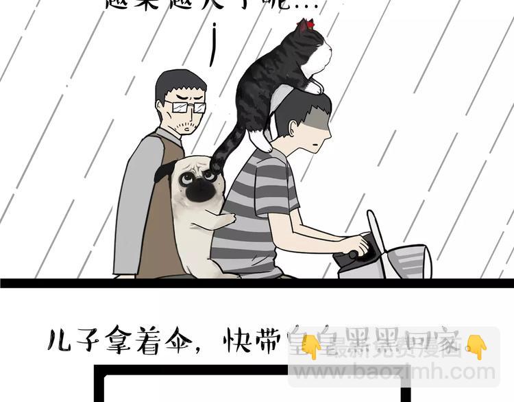 第89话 亲情2
