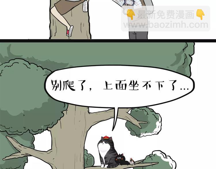 第90话 上树下树33
