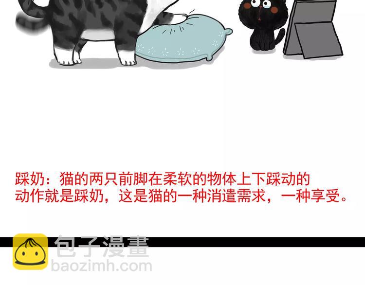 第95话 一辈子在一起11