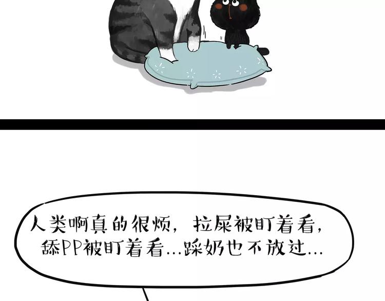 第95话 一辈子在一起13