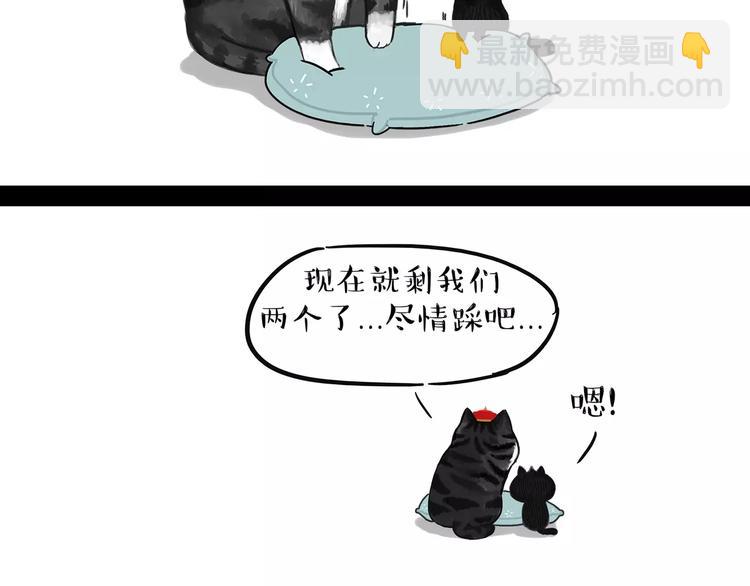 第95话 一辈子在一起16