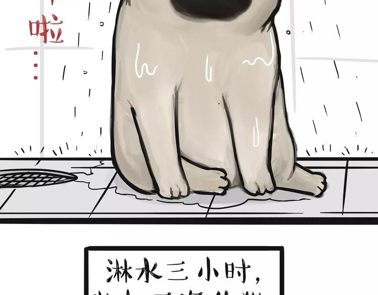 第100话 生病的烦恼17