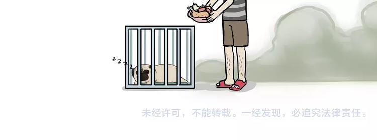 第100话 生病的烦恼41