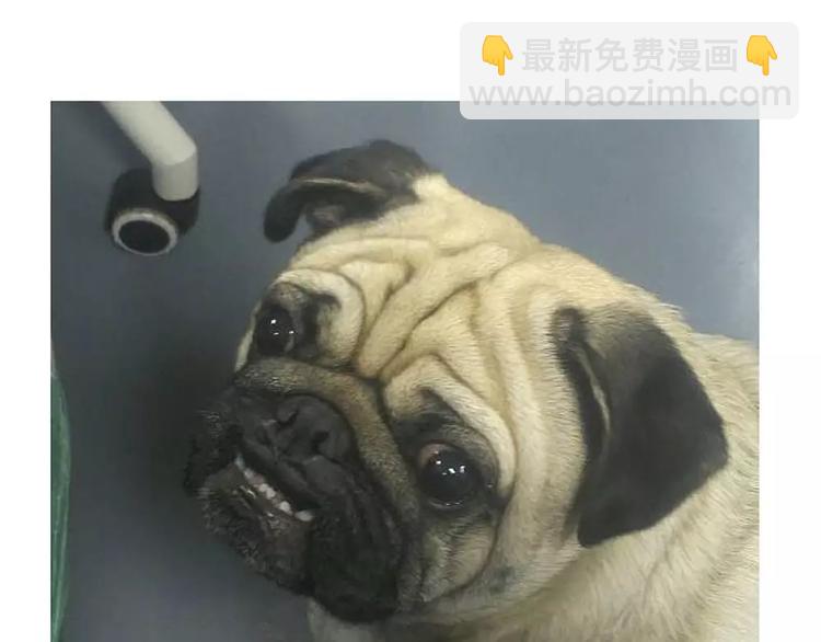 第101话 自我催眠30