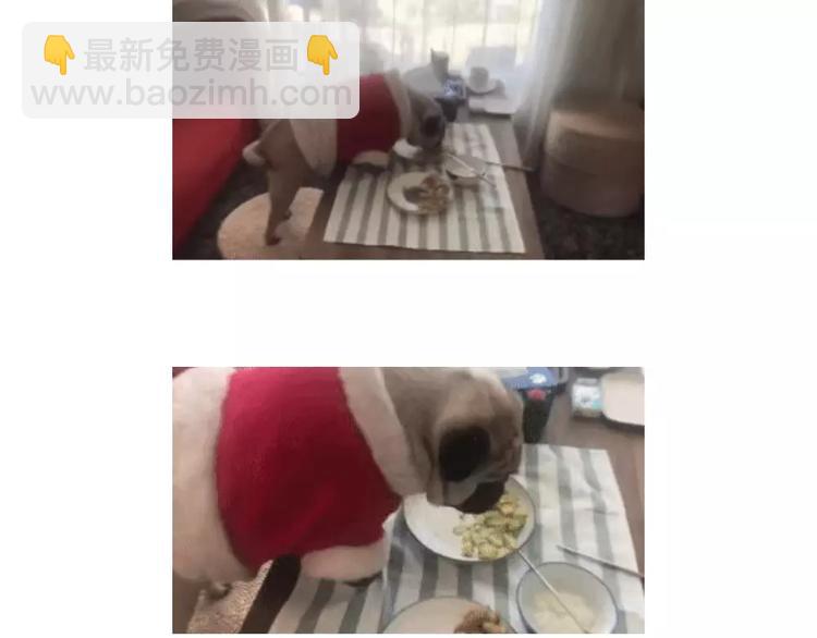 第102话 吃瓜的方法28