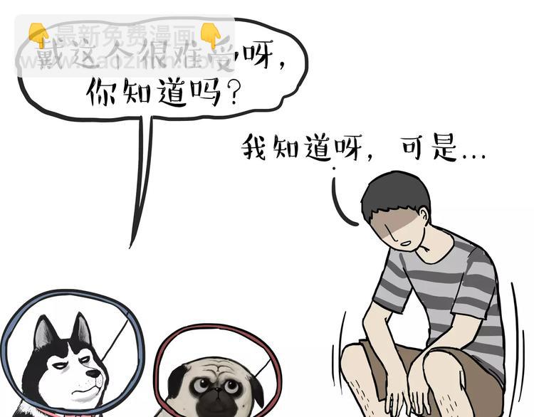 第104话 来人救驾17