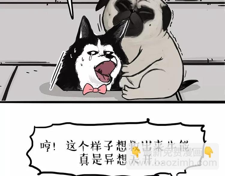 第105话 劲往一处使12