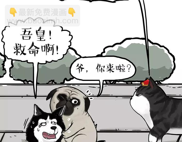第105话 劲往一处使13