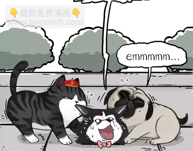 第105话 劲往一处使16