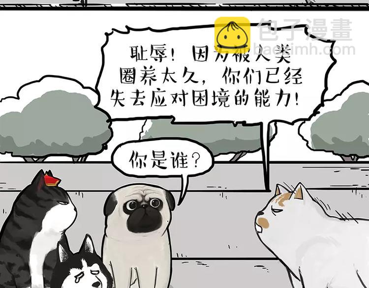第105话 劲往一处使17