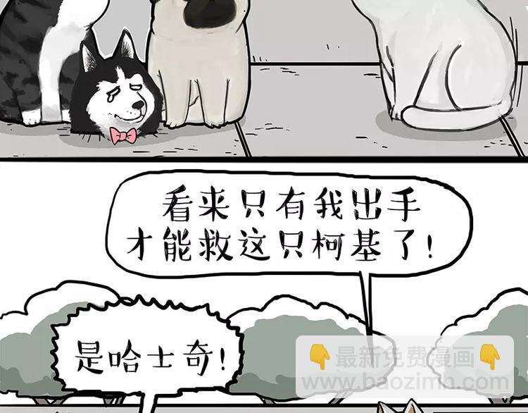 第105话 劲往一处使19