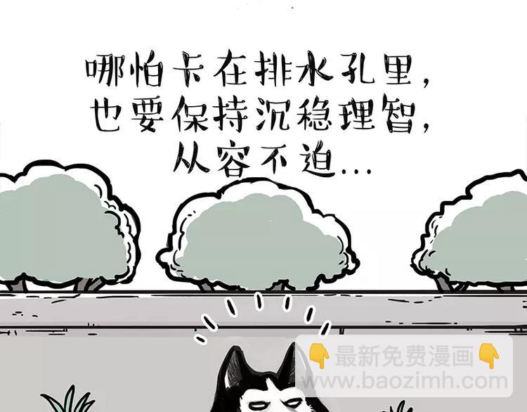 第105话 劲往一处使2