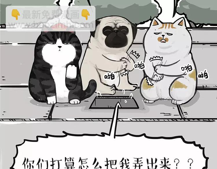 第105话 劲往一处使26