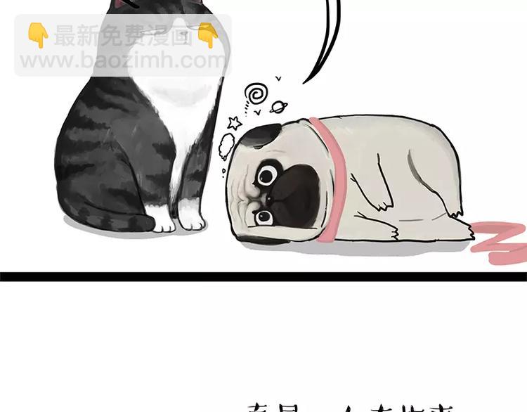 第106话 遛弯10