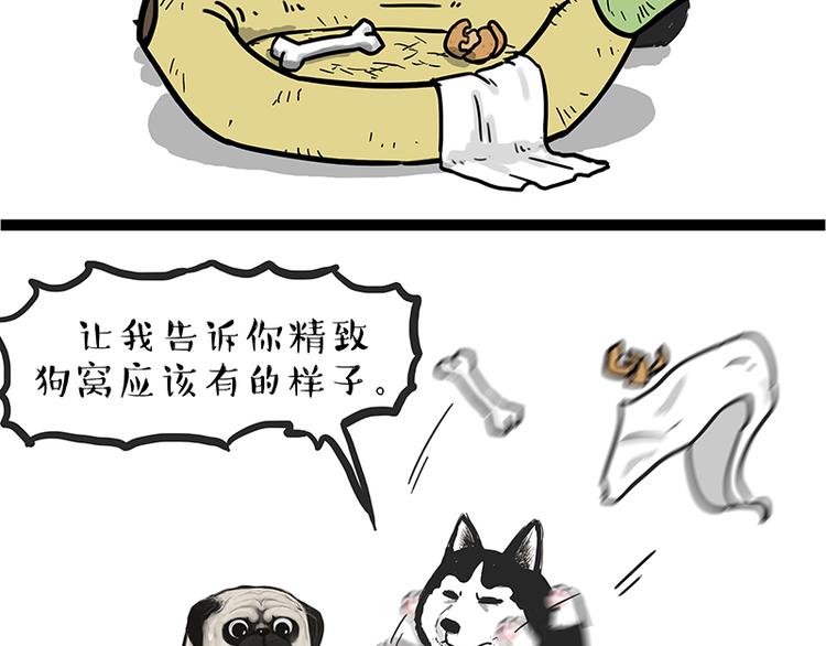 第110话 谁说了算41