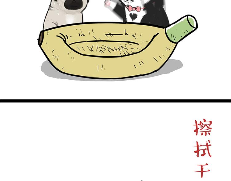 第110话 谁说了算42
