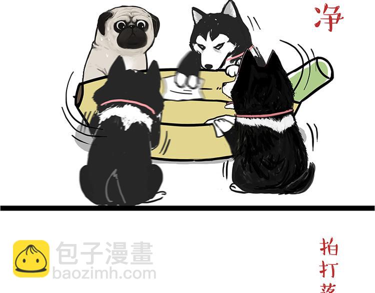 第110话 谁说了算43