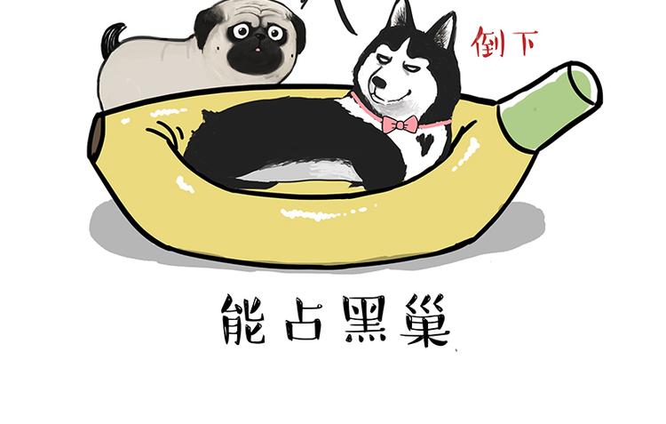 第110话 谁说了算47