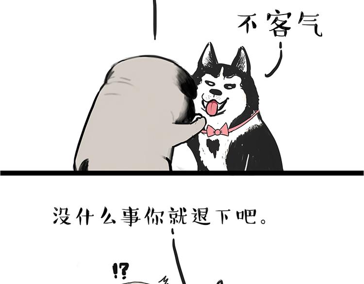 第110话 谁说了算50