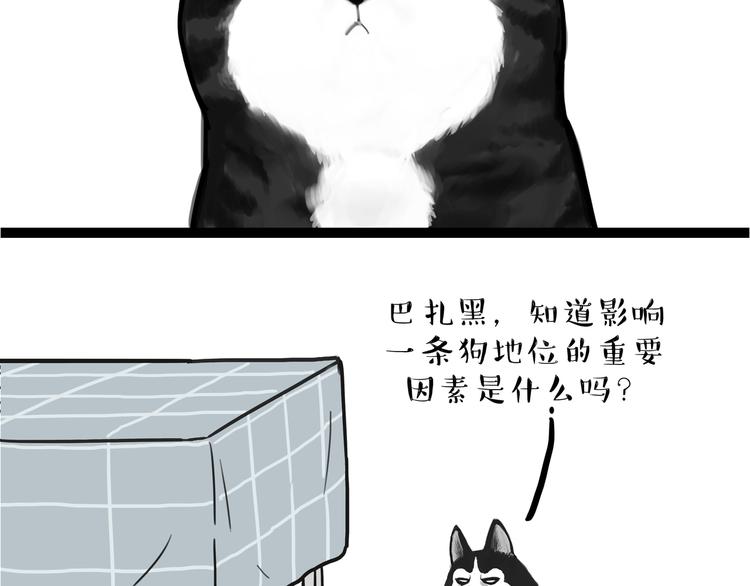 第110话 谁说了算53