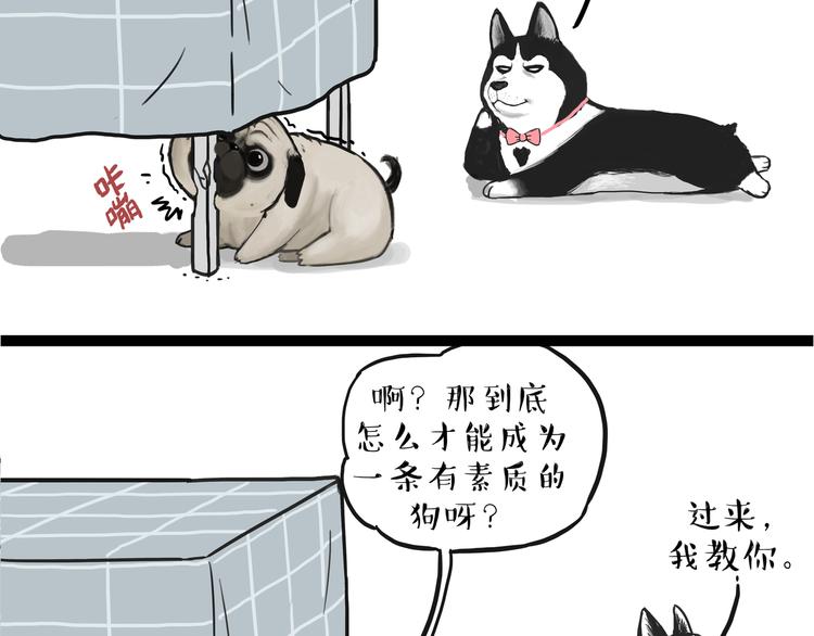 第110话 谁说了算55
