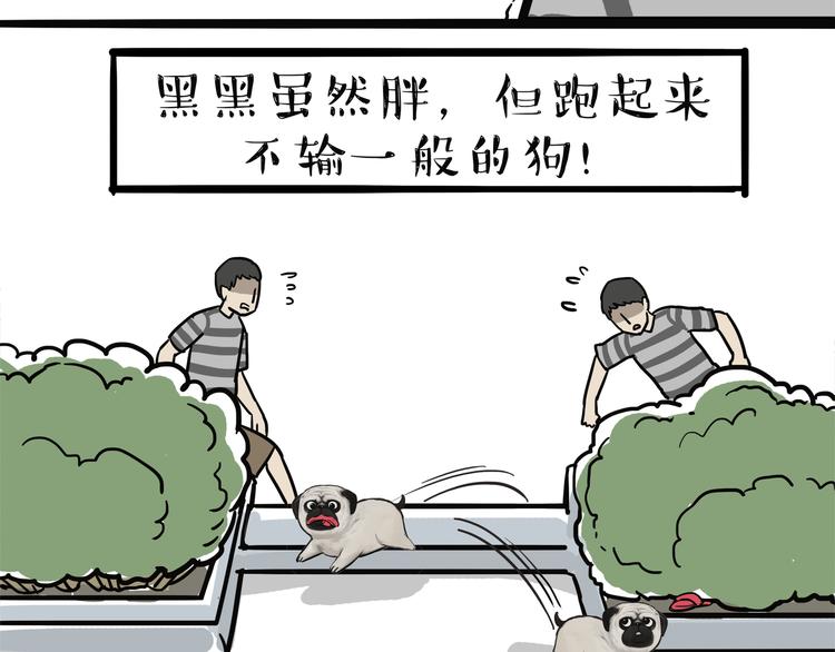 第115话 隐藏的东西21