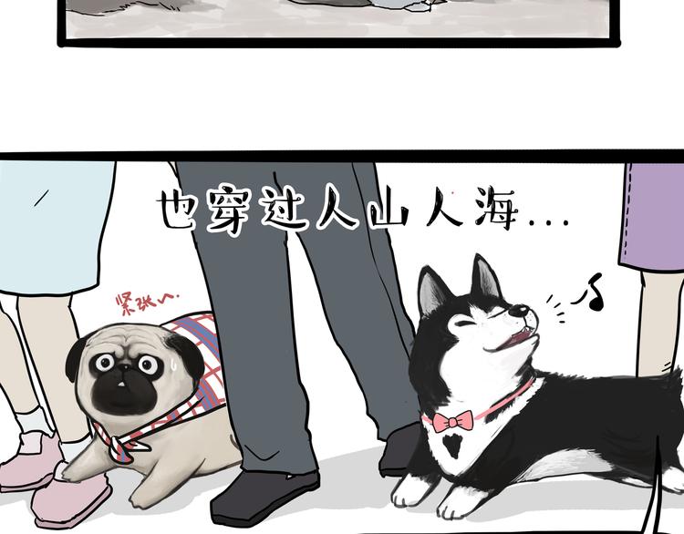 第116话 离家出走15