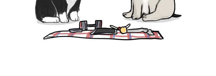 第116话 离家出走27