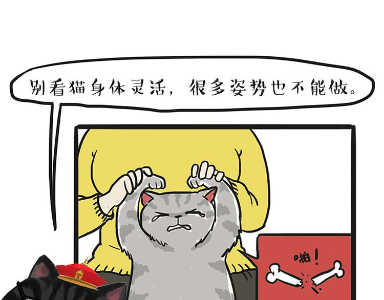 第117话 我们的关系11