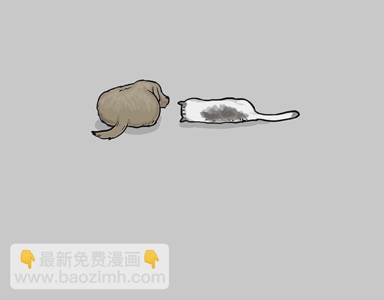 第117话 我们的关系20