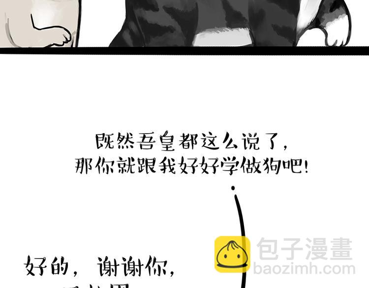 第119话 叛逆期38