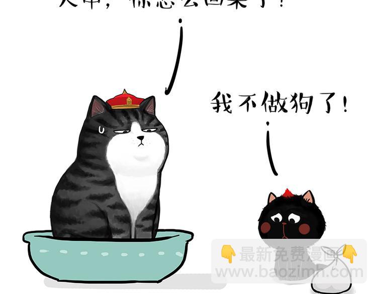 第119话 叛逆期41