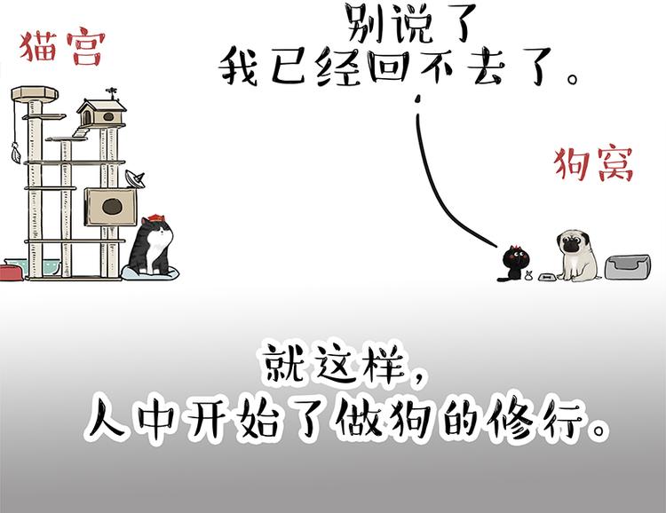 第119话 叛逆期9