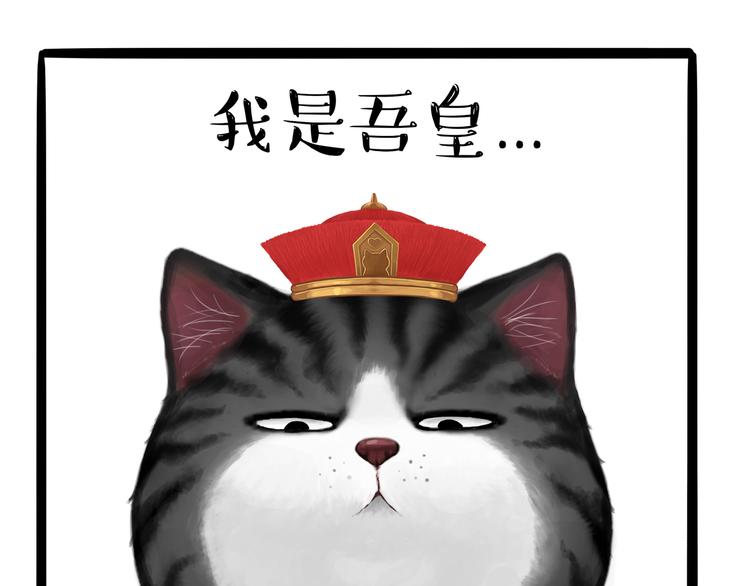 第124话 一只尊贵的喵0